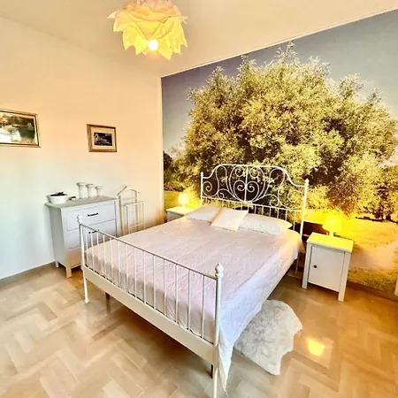 Quadrilo Federico A Centro * סירולו